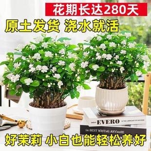 ��ˮ����M�h���������̨��̨ͥԺ�_�������ͻ����ļ��Gֲ�辰