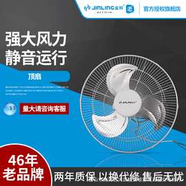 金羚吸顶扇楼顶扇18寸客厅家用吊顶风扇学校工程摇头电风扇FD-45c
