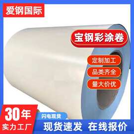 [TS250GD+Z彩涂卷]宝钢正品 彩钢板卷 现货直发 规格齐全 印花多