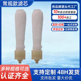 10寸锁牙中空超滤膜滤芯台式龙头净水器可清洗超滤膜滤芯超滤芯