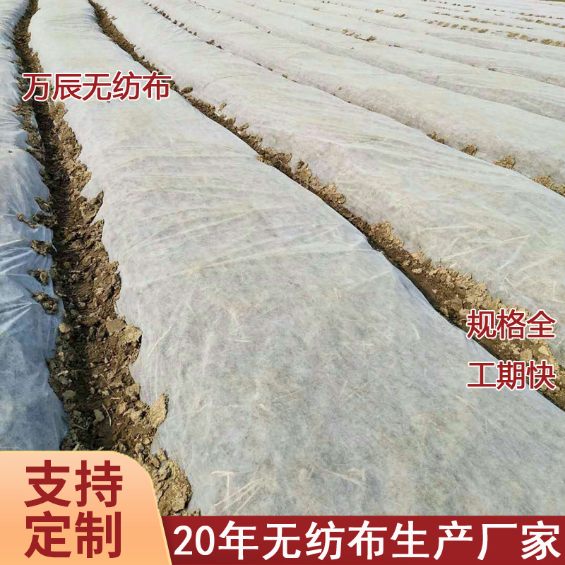 跨境出口农用无纺布 25g/30g水稻育苗柑橘果树防寒布农用pp无纺布
