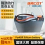 动力2pzs250lfp2308s托盘车电池组