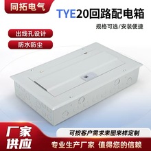 ���l���20·��ʽ늱��������Ҏ���Rȫ�Ӻ��⚤TYE20��·�����