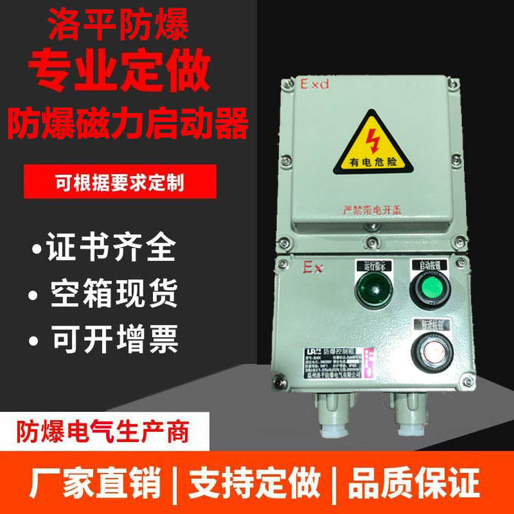 两路防爆电磁起动器 风机水泵阀门磁力启停控制按钮箱