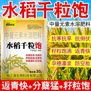 水稻千粒饱水稻种植提质增产膨大饱满促进发育钙镁水溶增提