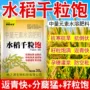 促进增产水溶种植钙镁