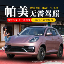 帕拉梅拉新款电动代步四轮车老头乐小型电轿汽车家用低速车可上牌