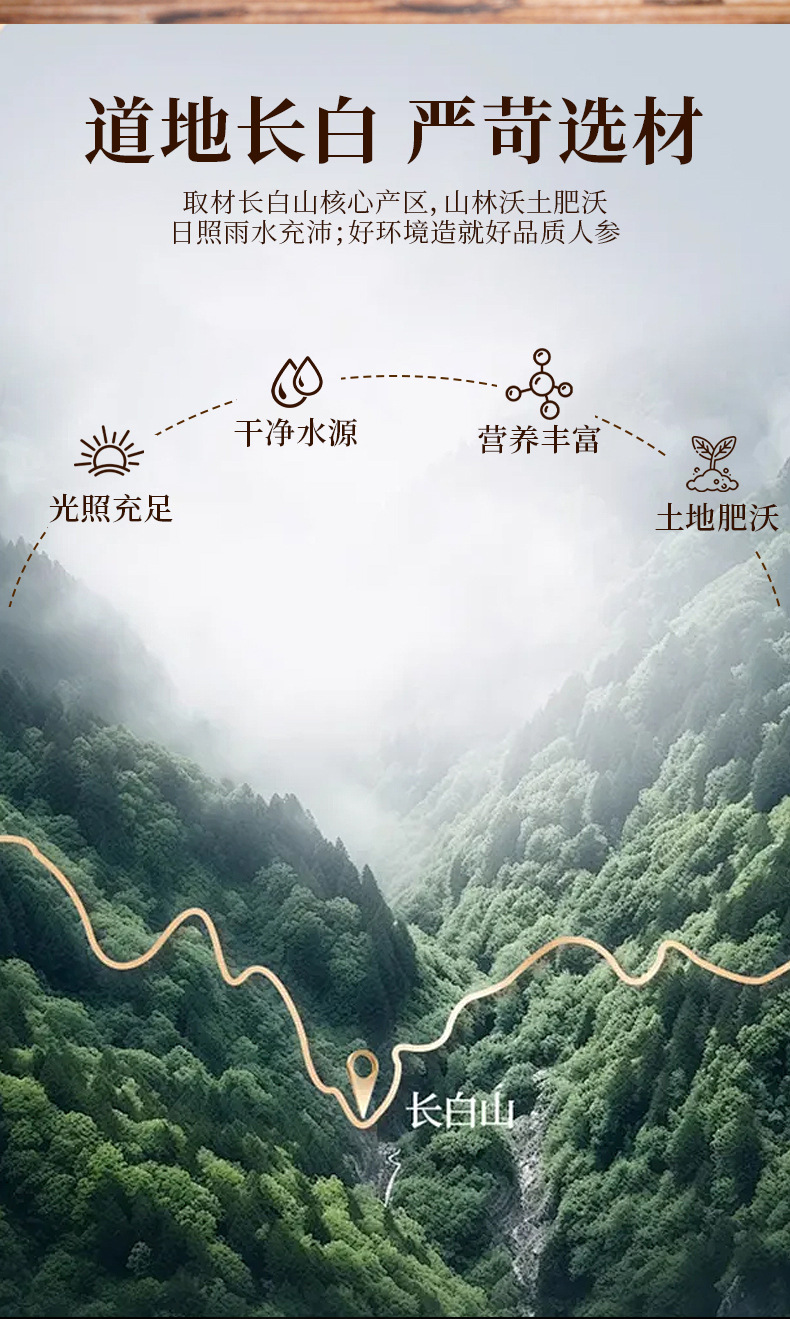 Changbai Mountain Fresh Ginseng Honey Slices 50g Ready to Eat Geographic Indication overview