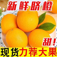 橙子新鲜夏橙新鲜应季水果甜整箱批发薄皮非果冻橙冰糖橙赣南的
