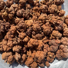 ��Ϭ���������500��g������������Ұ�S��������a�خa���l