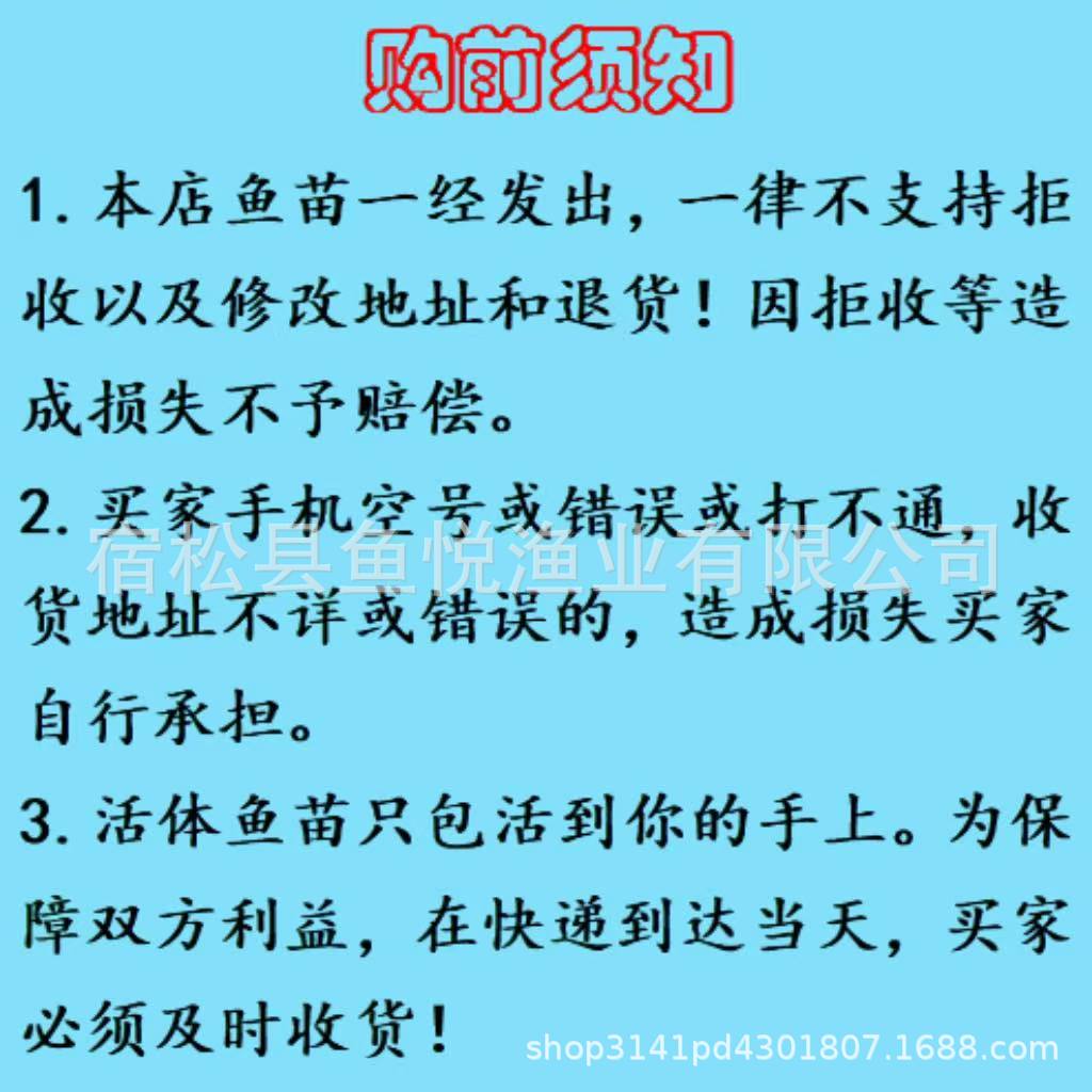 微信图片_20250603201919_299