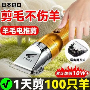 Imported 48V Wuyang Honda King Wool Special Electric Clipper High-Power Electric Wool Clipper Pet Shaver
