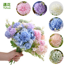 ɭϵ5����滨����ƹ�ҾսM�ϻ���ĵ�����ϻ��ҾӔ[�O�b�����