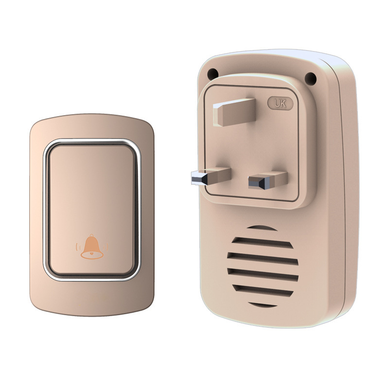 골든 브리티시 스탠다드 일대일