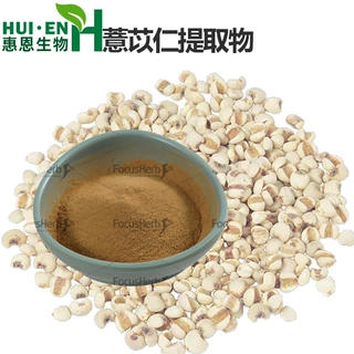 薏苡仁提取物 薏苡仁粉 植物提取 高比例薏苡仁提取物 薏米粉包邮