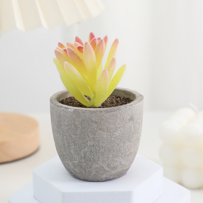 鉢植えのパルプの植毛の多い肉の鉢植えの家庭のデスクトップの事務室の置物をシミュレーションします。|undefined