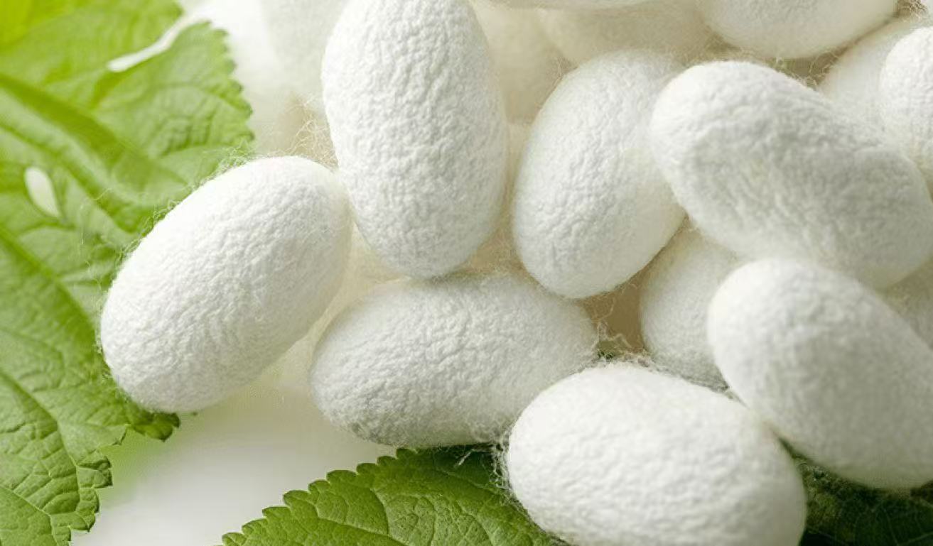 微信图片_20250321103754