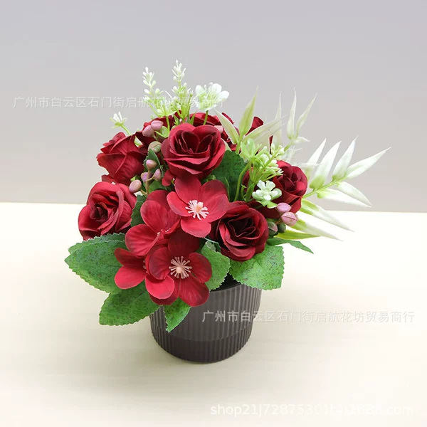 [Happy Rose Big Red + Brown Striped Pot]