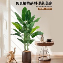 pݸ߷GֲԔ[kǰ̨坍m❲ˮBo״