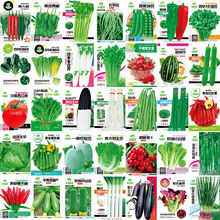 �߲˷N���ļ������������������ݴ�ȫ�K��������＾ˮ���Nֲֲ��