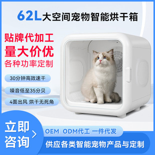 Pet Smart Drying Box Cat and Dog Dryer Fully Automatic Pet Water Blower High Power Pet Constant Temperature Drying Box
