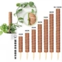 固定攀爬植物支架柱