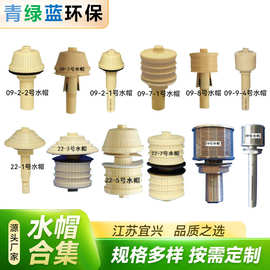 ABS PP PPGV PVDF 304 316 水帽  滤帽 滤头 排水帽 布水器过滤器