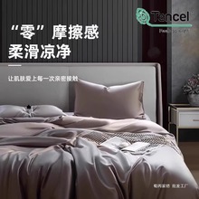 Z100֧�W�����m����z�ļ������ļ��ױ��z�ě����״�����z���ҿ�
