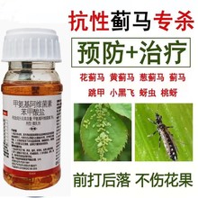 农药蓟马专用药甲维盐柑橘草莓番茄月季花卉瓜果树蔬菜高效杀虫剂