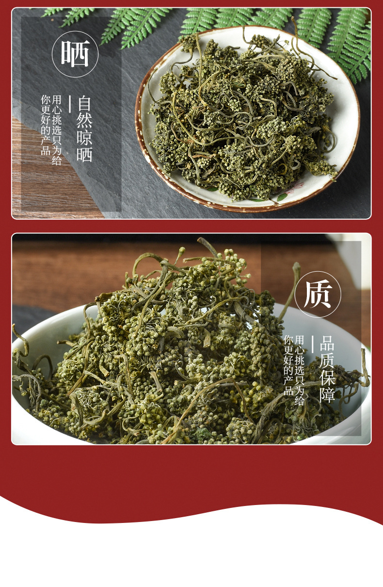 Ginseng Flower Buds (Panax ginseng) — Dried Changbai Mountain Ginseng Flower for Tea & Cooking quality and texture