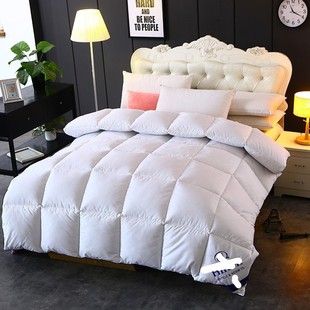 Hilton winter quilt running amount thickened autumn and winter quilt gift quilt hotel dormitory quilt core air conditioning quilt