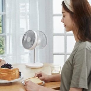 Several element FA13P desktop fan silent fan shaking head small fan office dormitory desktop small fan