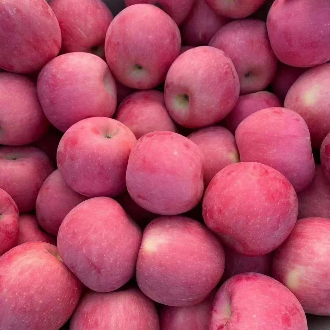 Красные яблоки Фудзи, горные красные пленочные пакеты Фудзи Шаньдун, бумажные пакеты с красными яблоками Фудзи, красноватые полосы, хрустящая текстура.