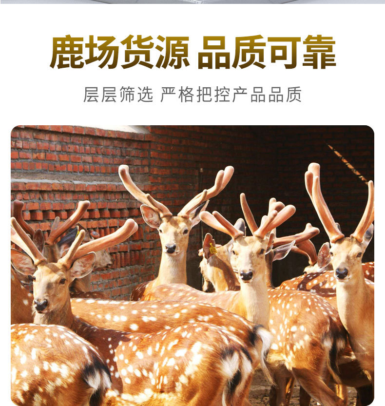 Lu Rong Hong Fen Pian (Cervus nippon) — Dried Velvet Antler Slices from Changbai Mountain, Jilin overview
