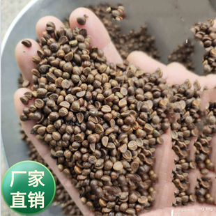 ���l����ֲ��N�����~ ��ɽ���N�� ���~���\���ѿƵ��\�ٵر�ֲ��