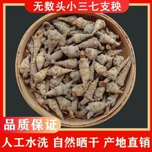 无数头三七 500克 云南文山特产小三七支秧 春三七田七水洗晒干