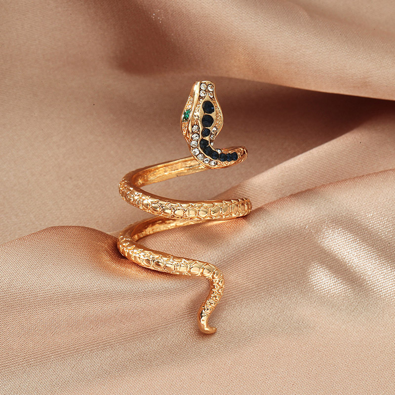 Retro Snake-shaped Alloy Ring display picture 2