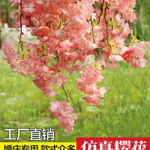 ����ѻ�֦�滨�һ������ϼٻ��ٗl�b�픽����҃ȿ͏d��ػ�c