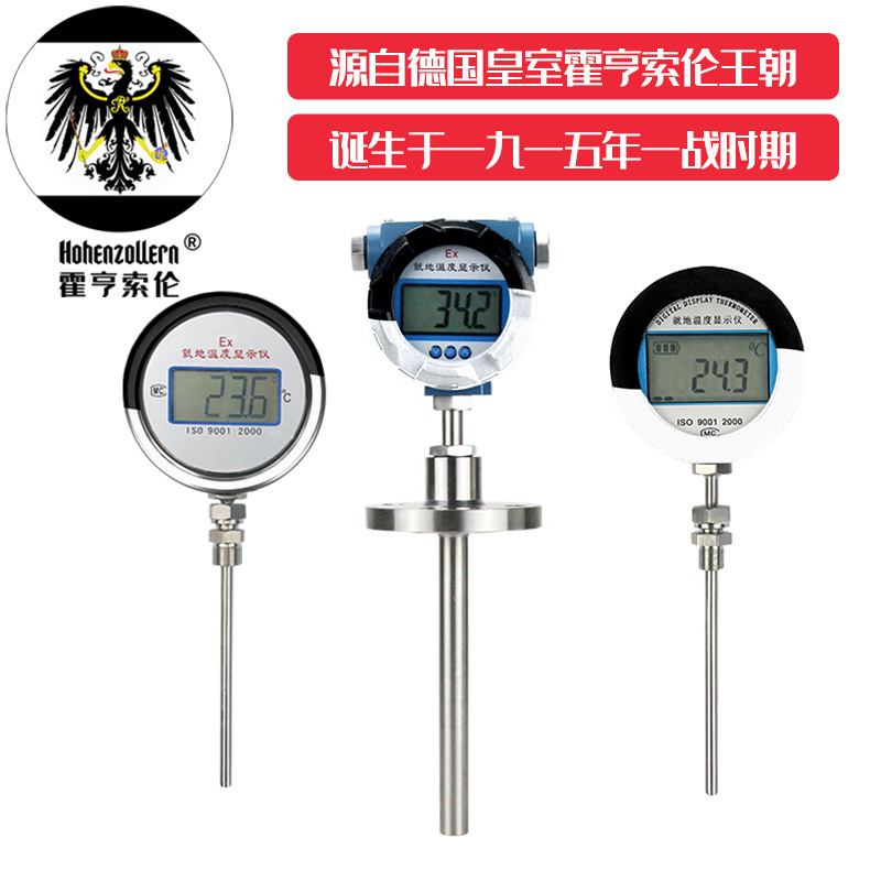 中德合资质保三年霍亨索伦CLMTX12001不锈钢就地温度显示仪防爆