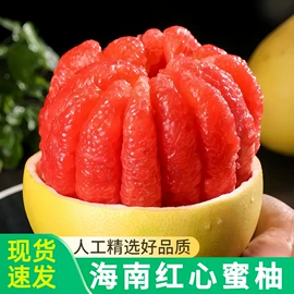 块茎类;其他水果;苹果