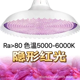 LED球泡灯;应急指示灯具;USB风扇
