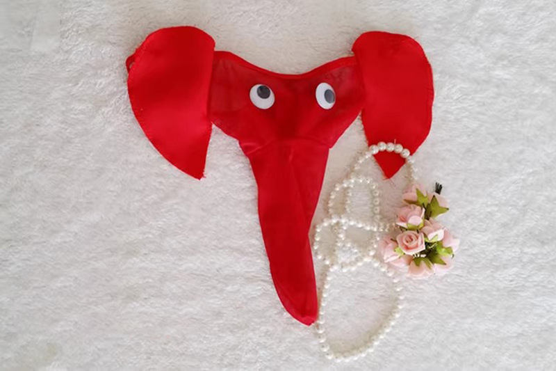 Xiuaisha Men’s Mesh Perspective Elephant Nose Thong, Leopard Print One Size — detail image 25