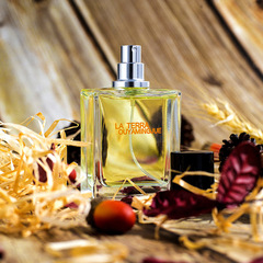 Eurasian MG Land Men's Perfume Wholesale Fresh Woody Fragrance Factory Direct Long-lasting Light Fragrance Men's Perfume