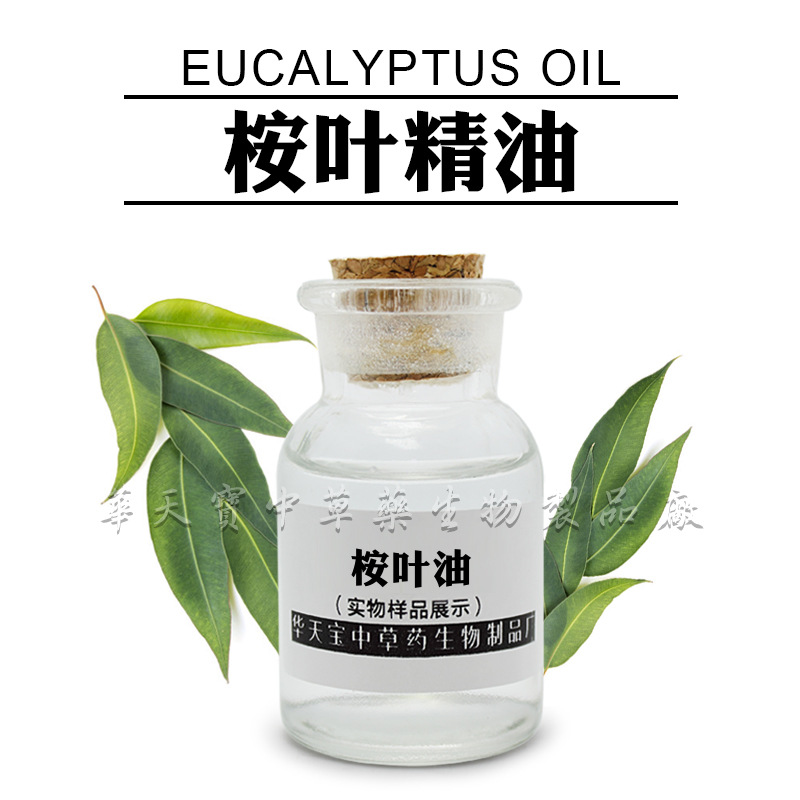 桉叶精油 桉树精油 1KG 单方桉叶油 蒸馏提取 8000-48-4 原油厂家