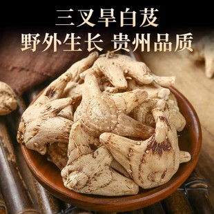 ��ܸ��ș�������ܸƬ�o�򺵰�ܸ����؛ș�����l��ܸ�۰׼�500��