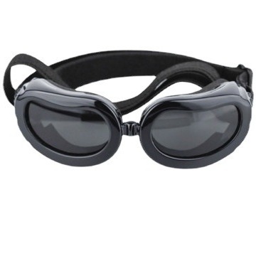 Pet Sunglasses 6