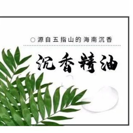 Большие количество эфирных масел из агарового дерева доступны в наличии, сырье эфирного масла из агарового дерева, готовые эфирные масла из агарового дерева, косметика и парфюмерное сырье.