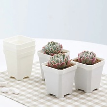 7*7cmС�׷����⻨�����ϻ���Ӻ�С�������ֲ��С̖�������籭