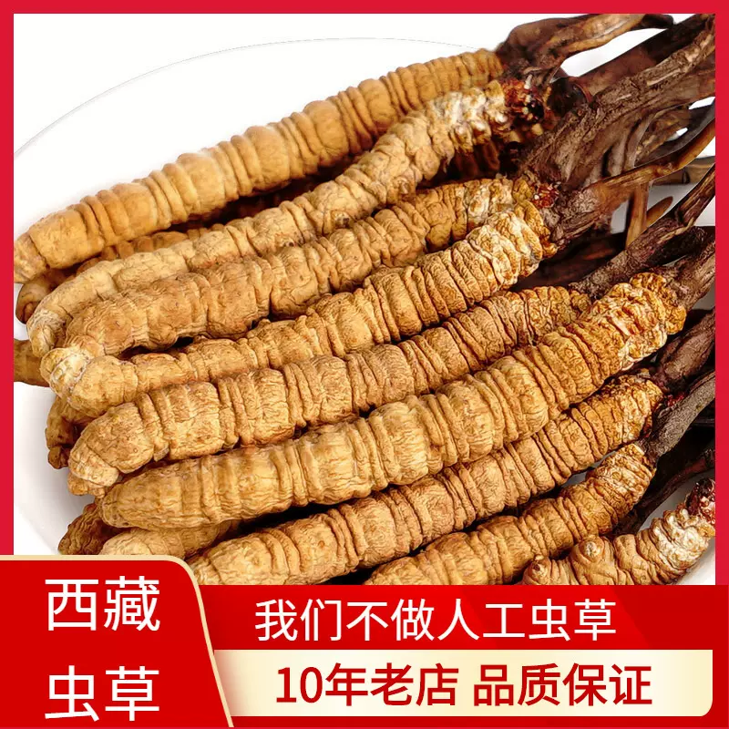 批发新货西藏那曲冬虫夏草足干冬虫夏草散装一手货源原产地直发