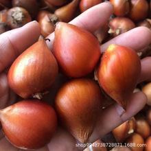 ������N��N������ˮ���ײͶ����҃��ͺ�ˮ�B������������L����